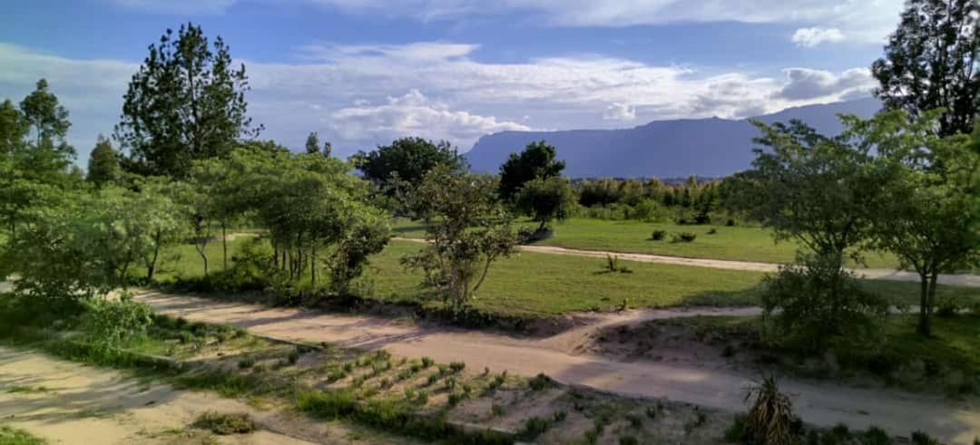 Moholoholo Lodge Acornhoek Ngoại thất bức ảnh